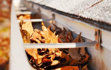Christmas Common gutter cleaning companies