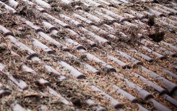 Christmas Common roof cleaning companies