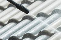 rated Christmas Common roof cleaning companies